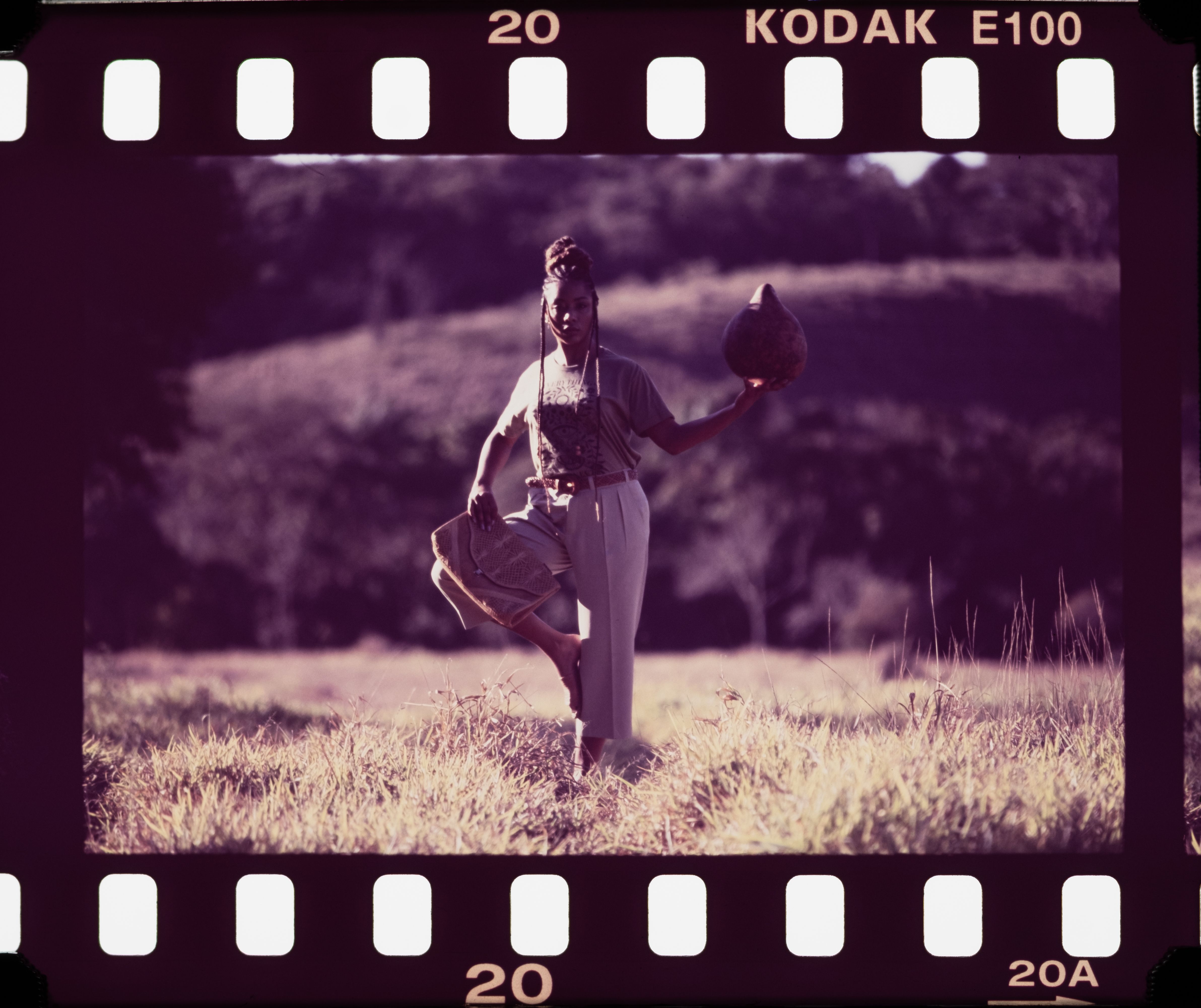 Chico Rei Lab - malhas ecológicas - foto 14