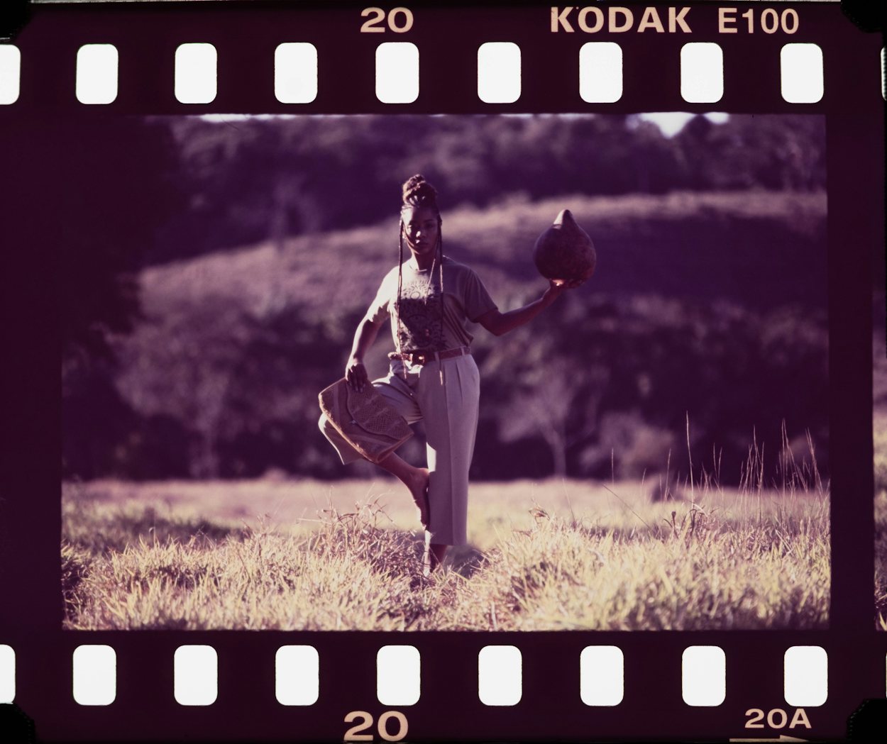 Chico Rei Lab - malhas ecológicas - foto 14