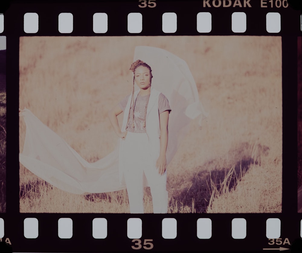 Chico Rei Lab - malhas ecológicas - foto 5